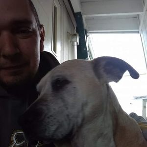 Meet your Posher, Billy